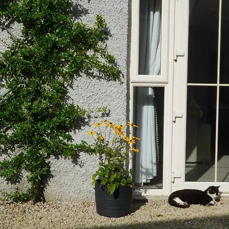 Ivy Apartament Letterkenny