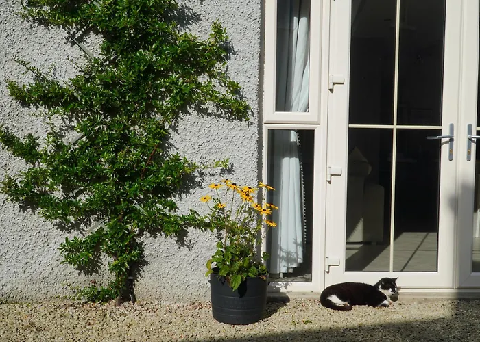 Ivy Apartmán Letterkenny